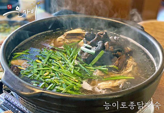 은가비 이미지