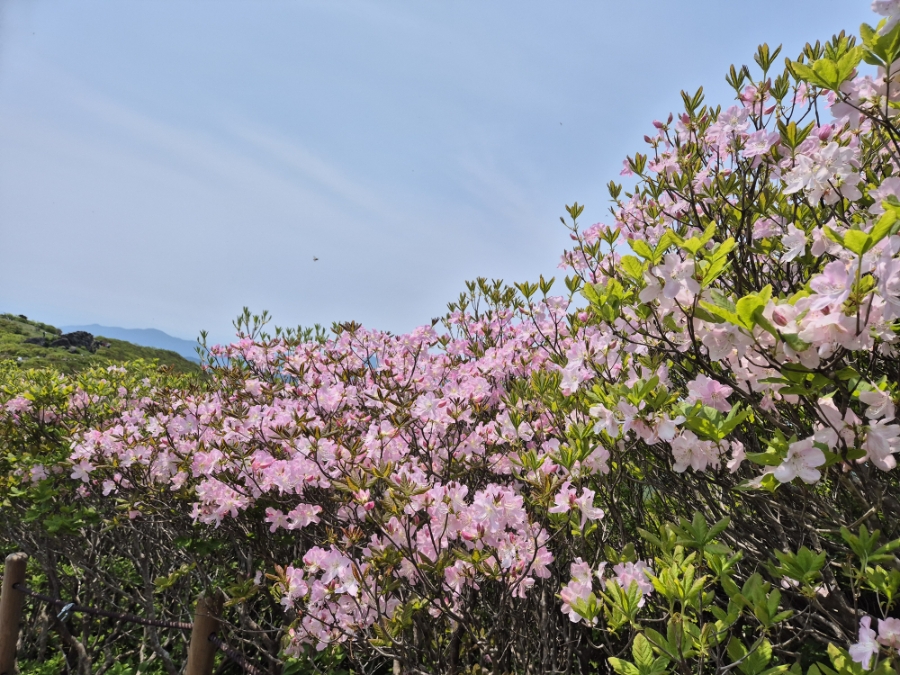 소백산국립공원 초암주차장 이미지