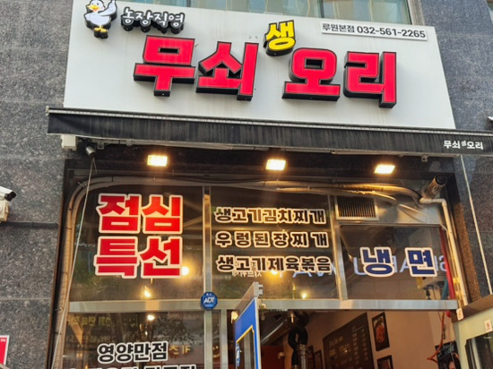 무쇠생오리 이미지