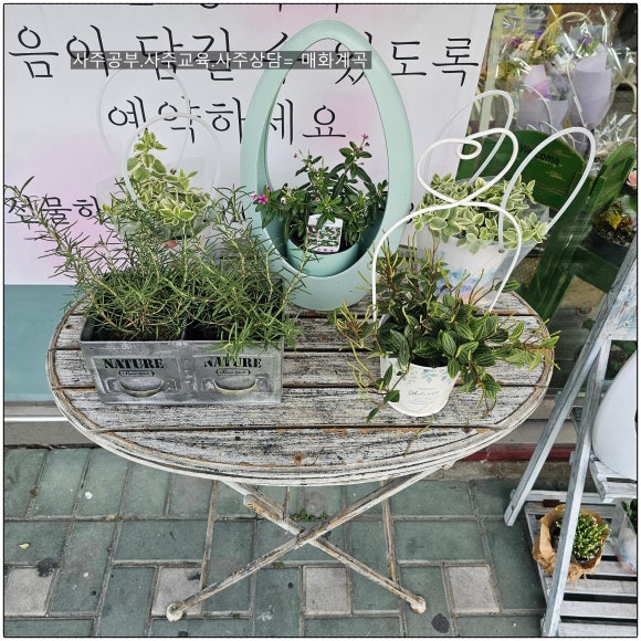 이치발 이미지