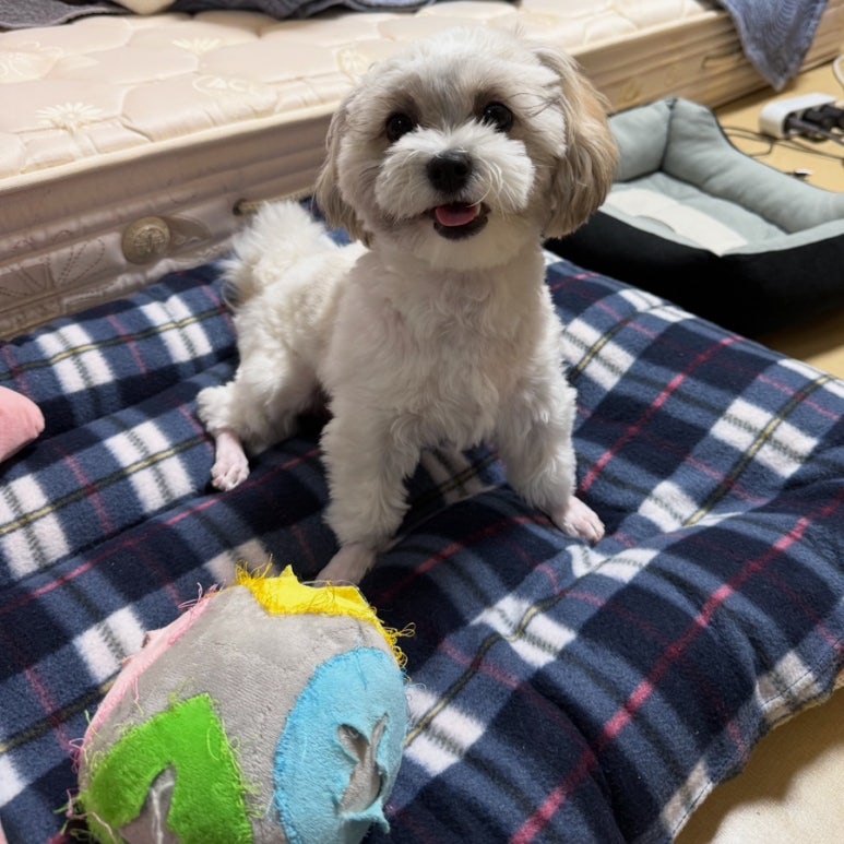 스튜디오리제이 이미지