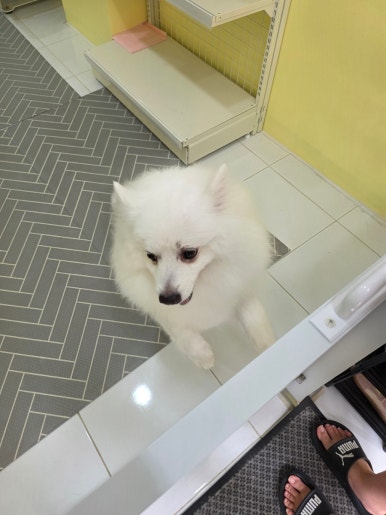 서울미용타운 이미지