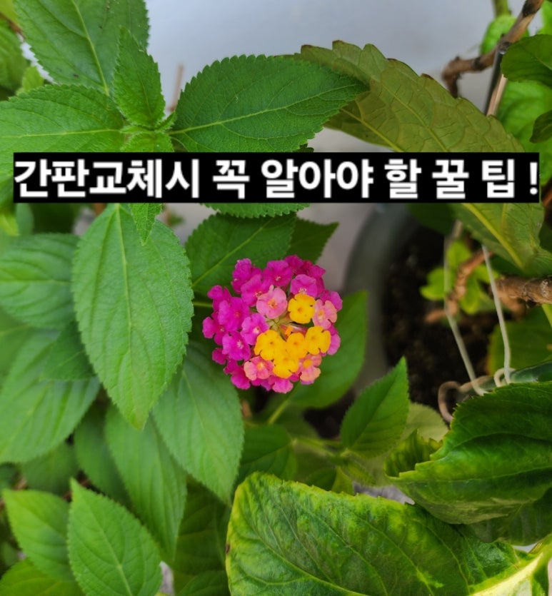 간판다모아 이미지