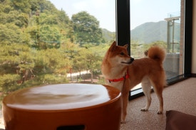 금산부르크 이미지