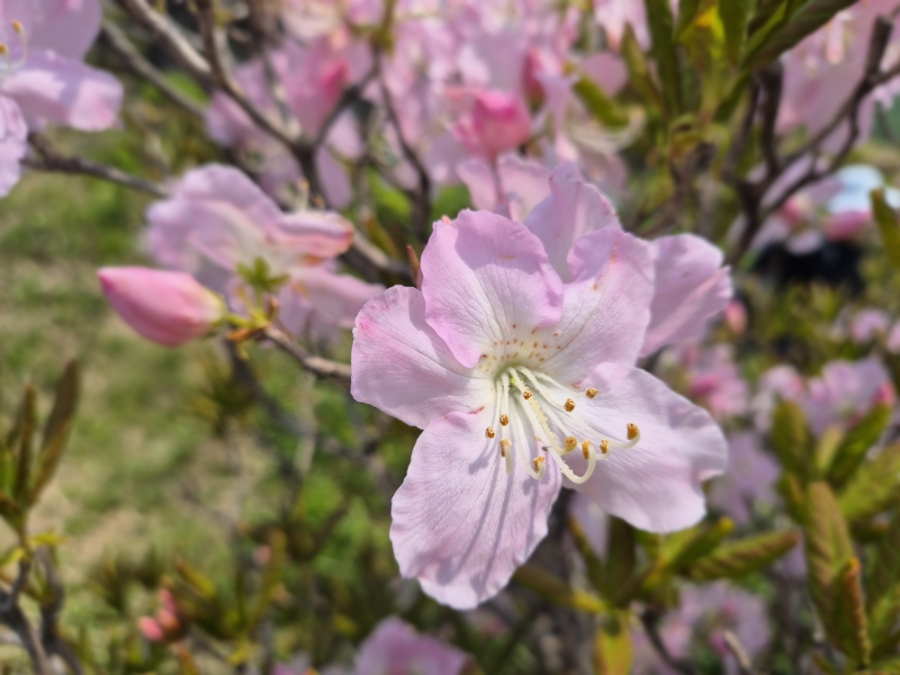 소백산국립공원 초암주차장 이미지