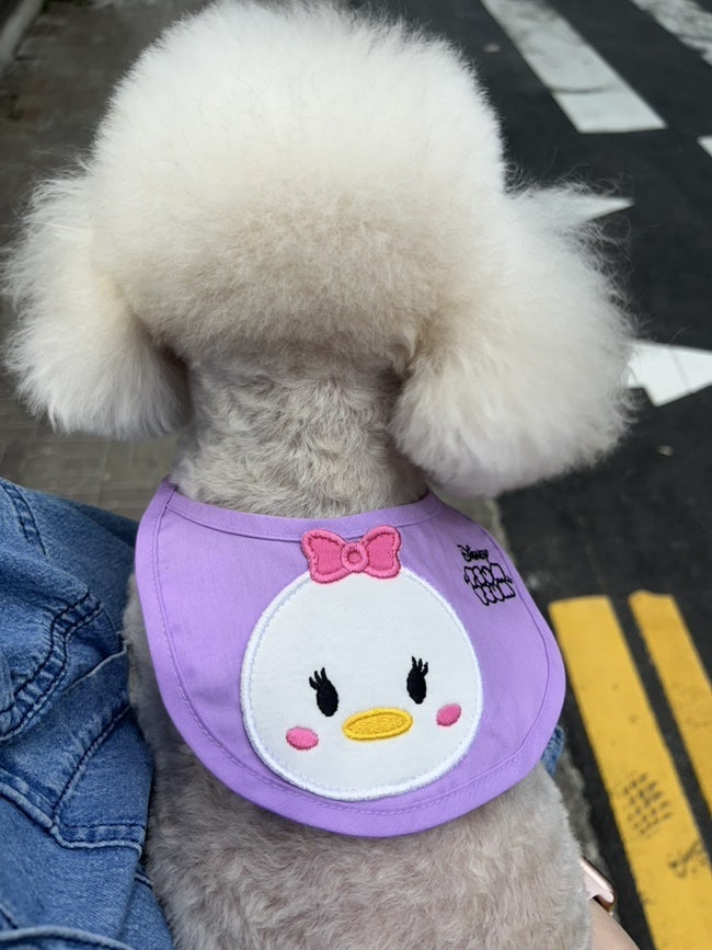 부평 애견미용 해피테일, 산곡동 호텔 후기 — 사진 18