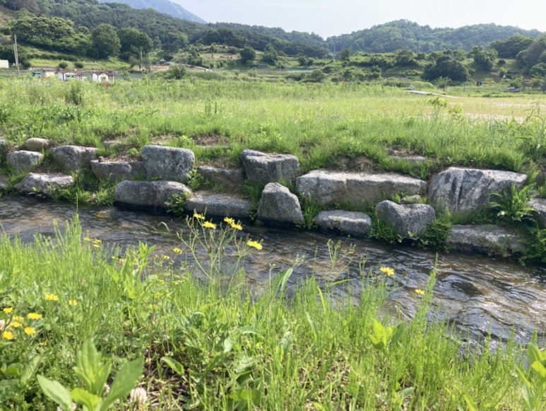 살미농장 이미지