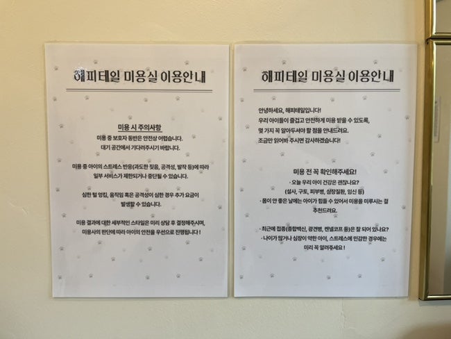 부평 애견미용 해피테일, 산곡동 호텔 후기 — 사진 10