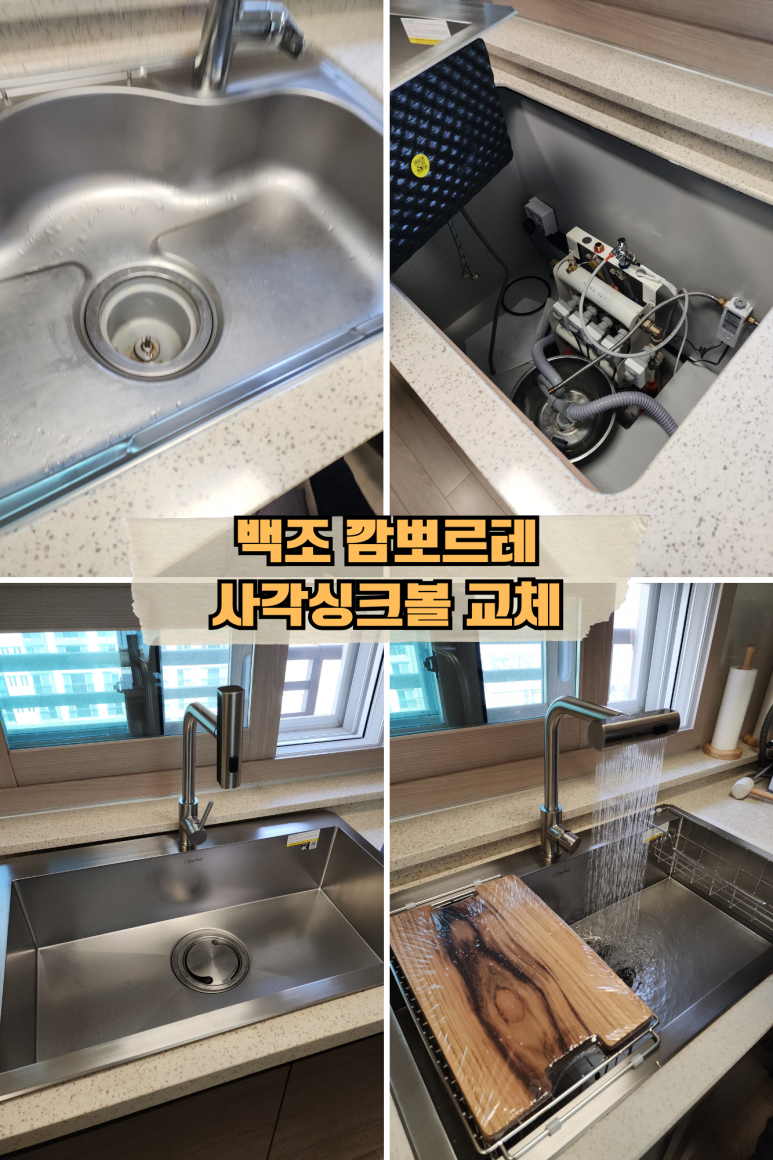 백조토탈씽크 이미지