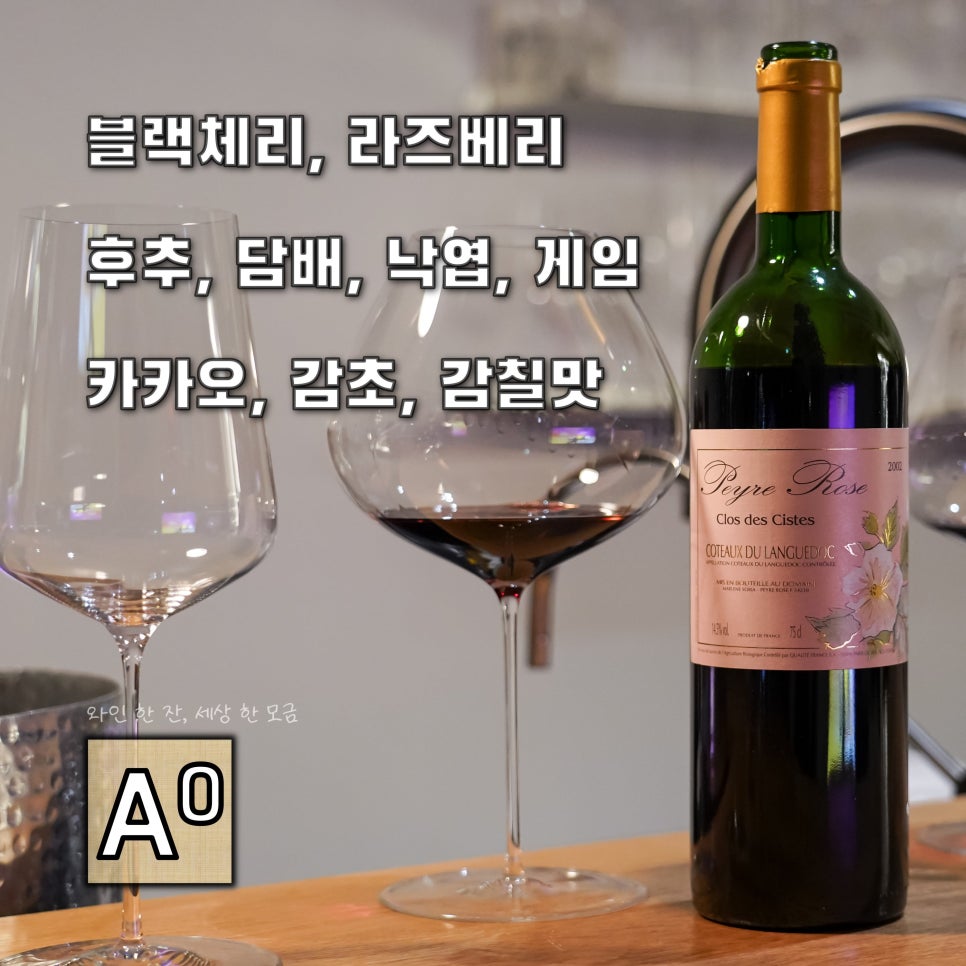 씨스테이지 이미지