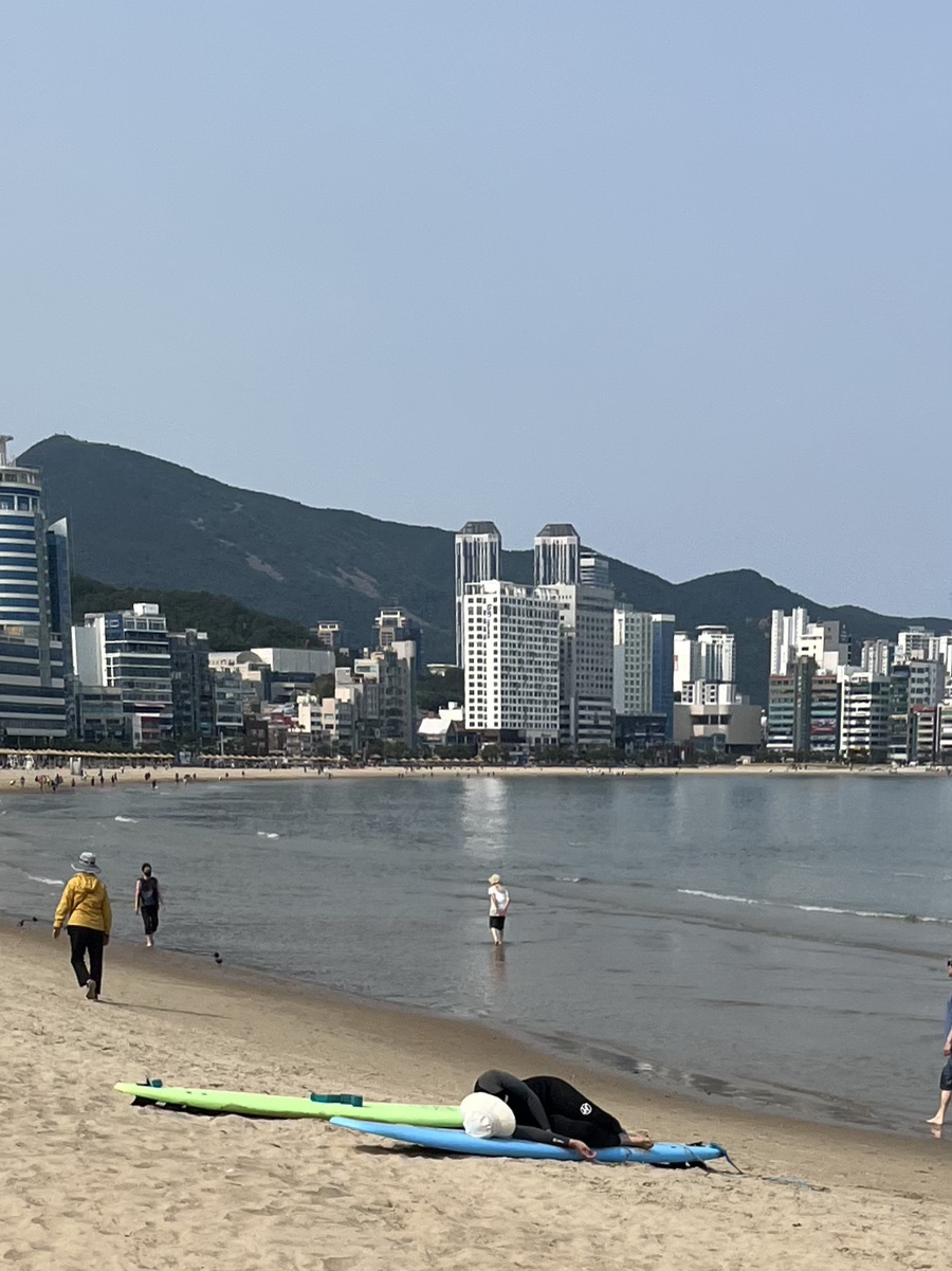 희희호호 서핑 펍 이미지
