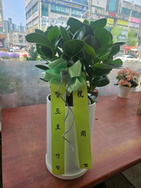 영플라워샵 이미지