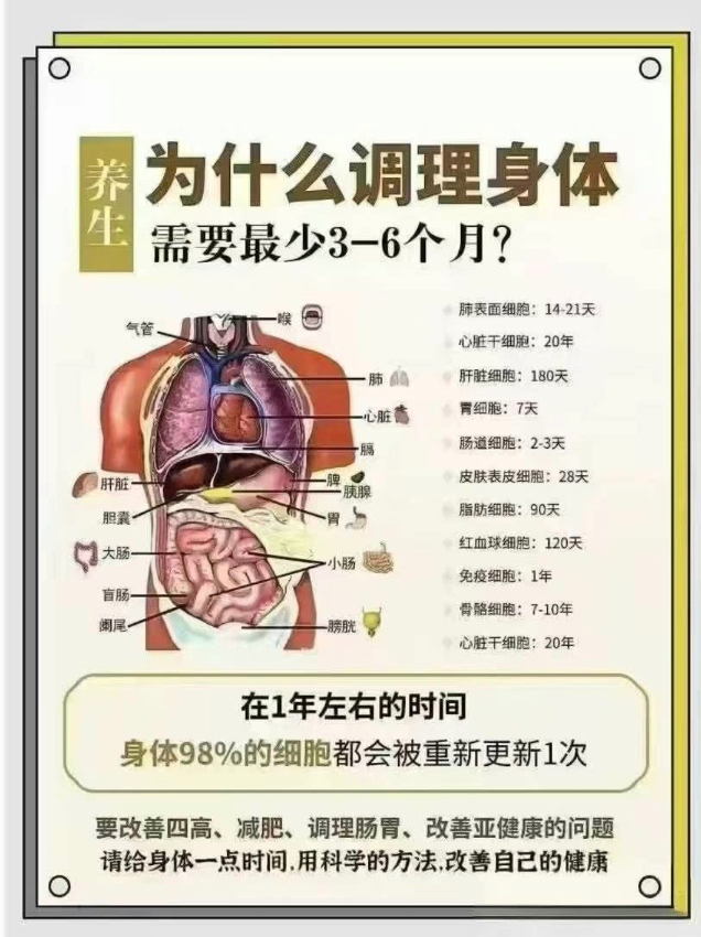 하얼빈테라피 이미지