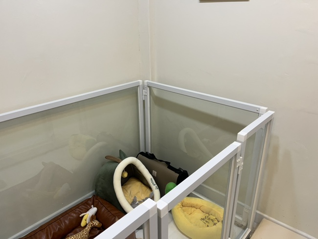 부평 애견미용 해피테일, 산곡동 호텔 후기 — 사진 8
