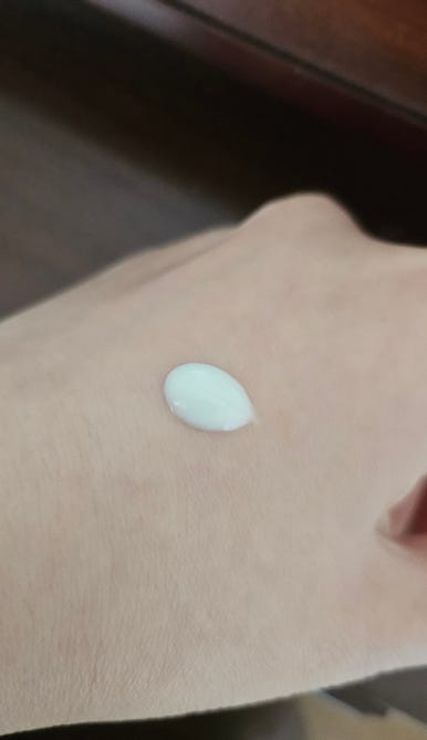 제제스 이미지