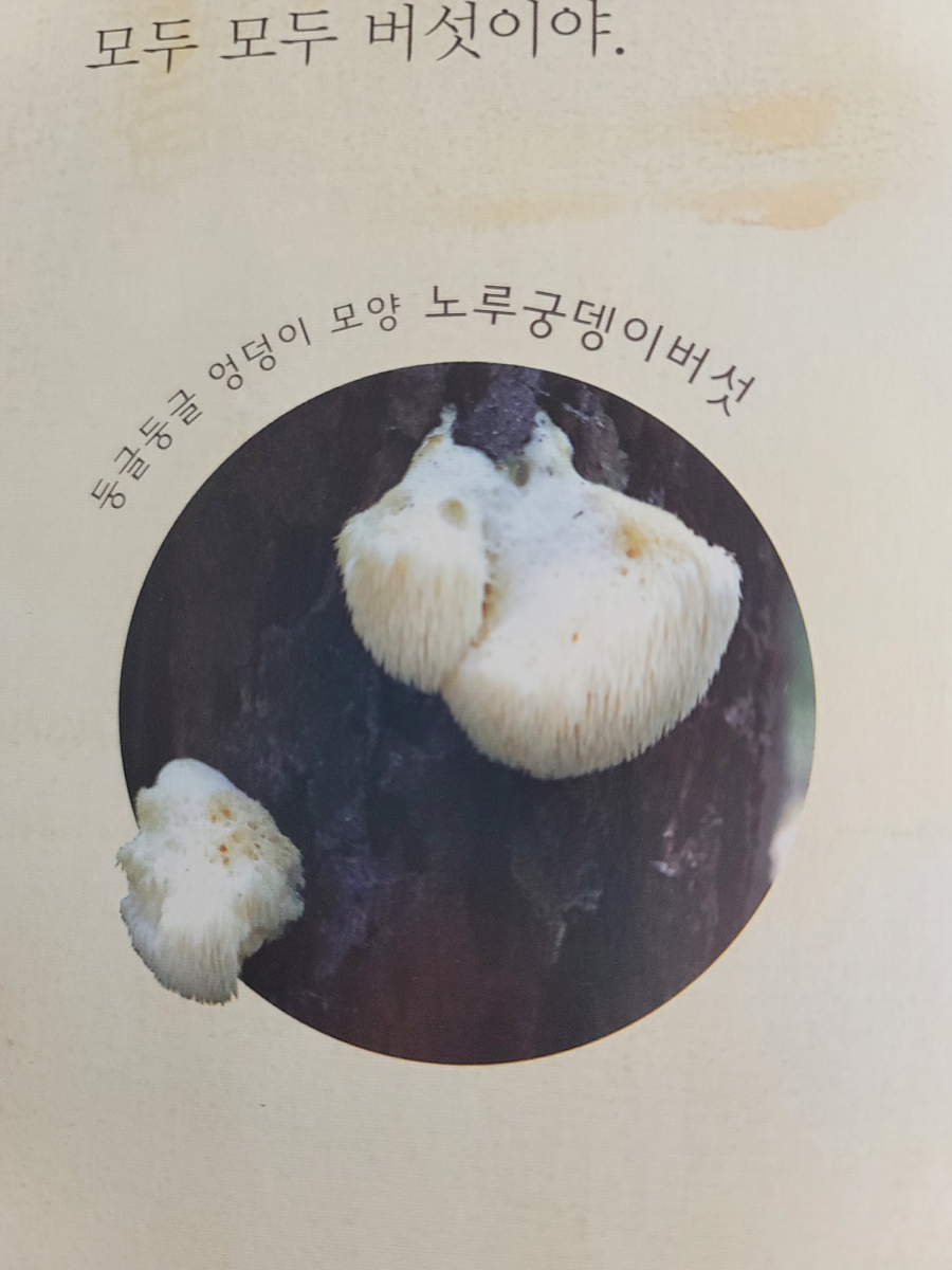 산들채 이미지