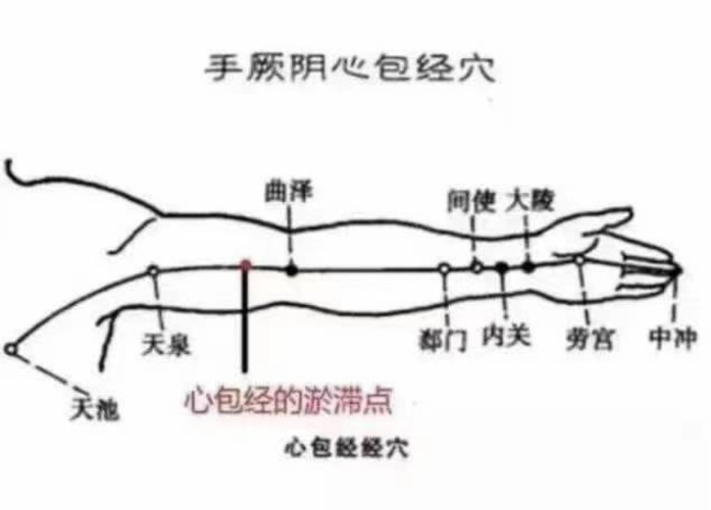 하얼빈테라피 이미지