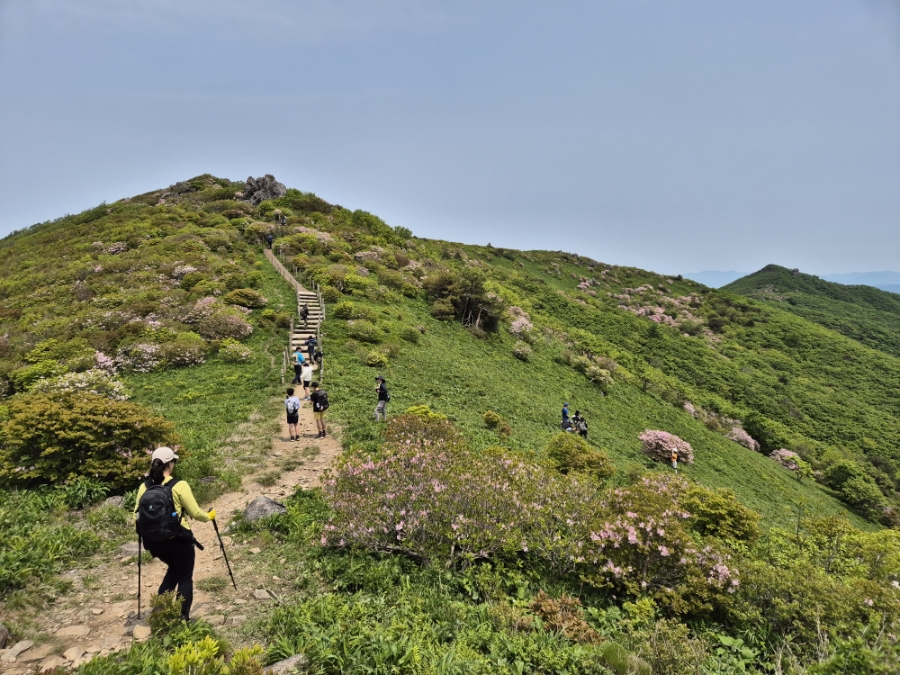 소백산국립공원 초암주차장 이미지