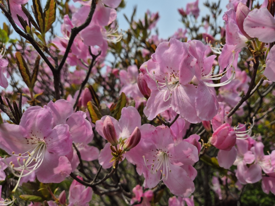 소백산국립공원 초암주차장 이미지
