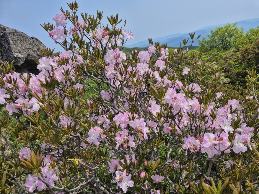 소백산국립공원 초암주차장 이미지