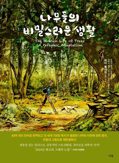 나무그래픽 이미지