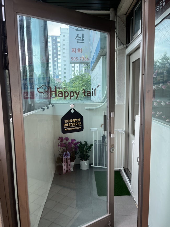 부평 애견미용 해피테일, 산곡동 호텔 후기 — 사진 4