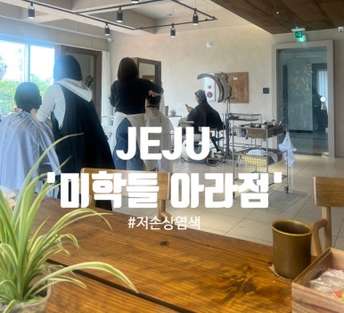 미학들 이미지