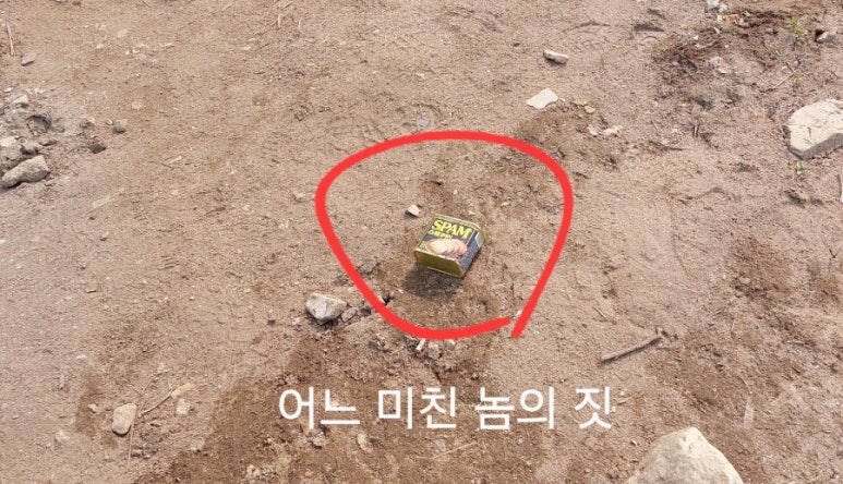 붕어대가 이미지