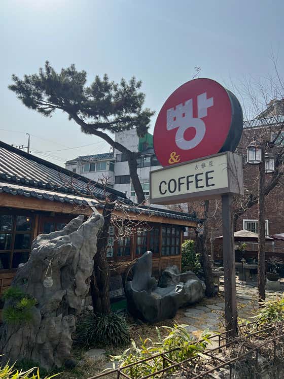 원향 이미지