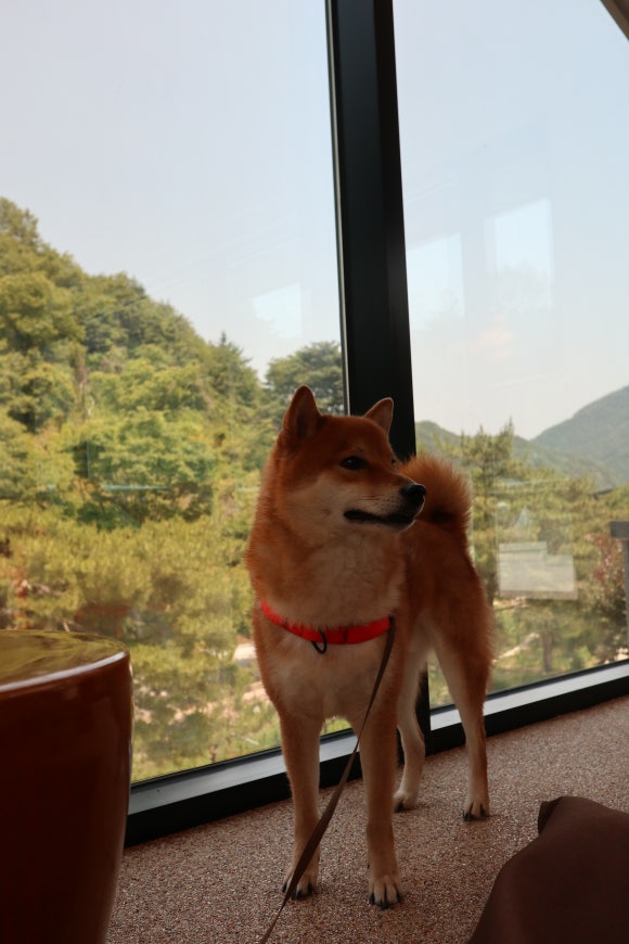 금산부르크 이미지