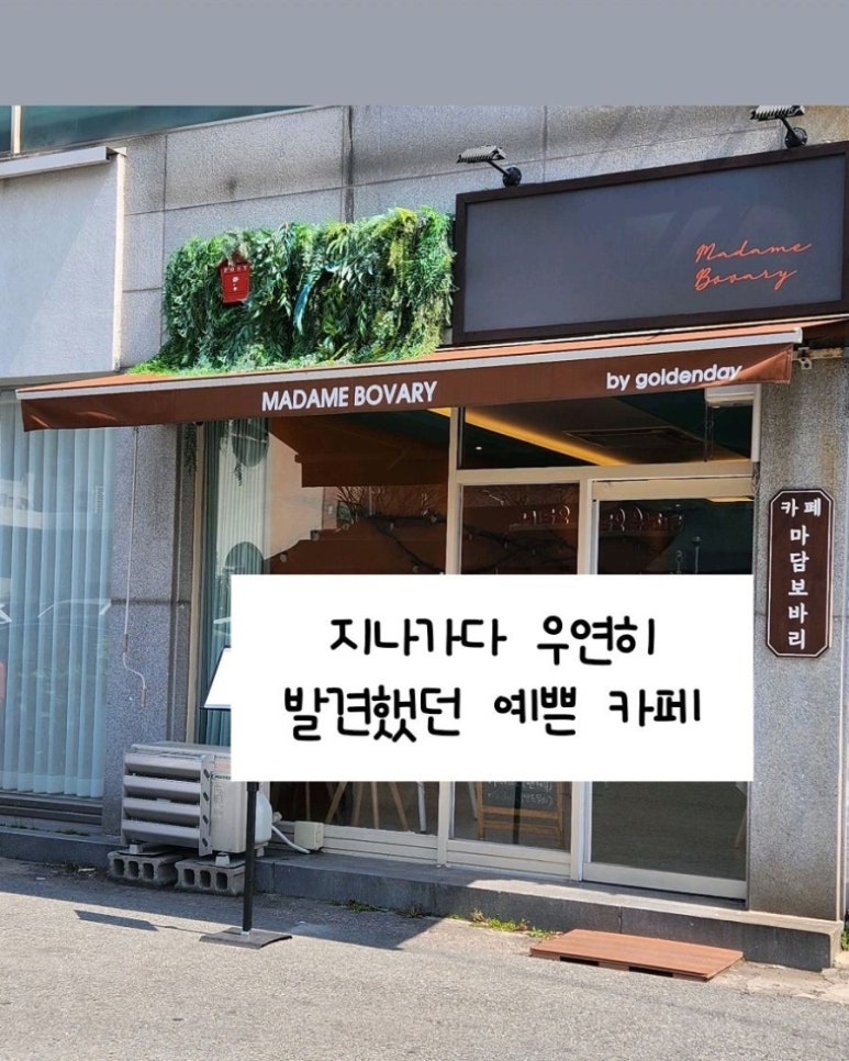 마담보바리와골든데이 이미지