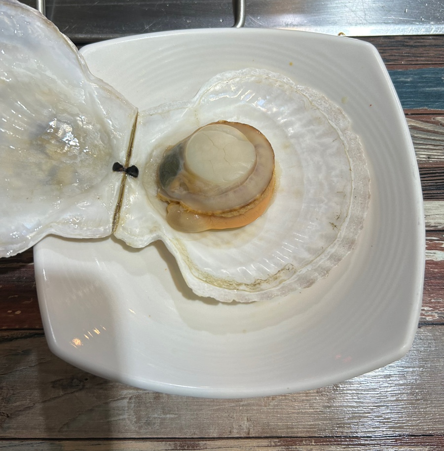 조개맛본돼지 이미지
