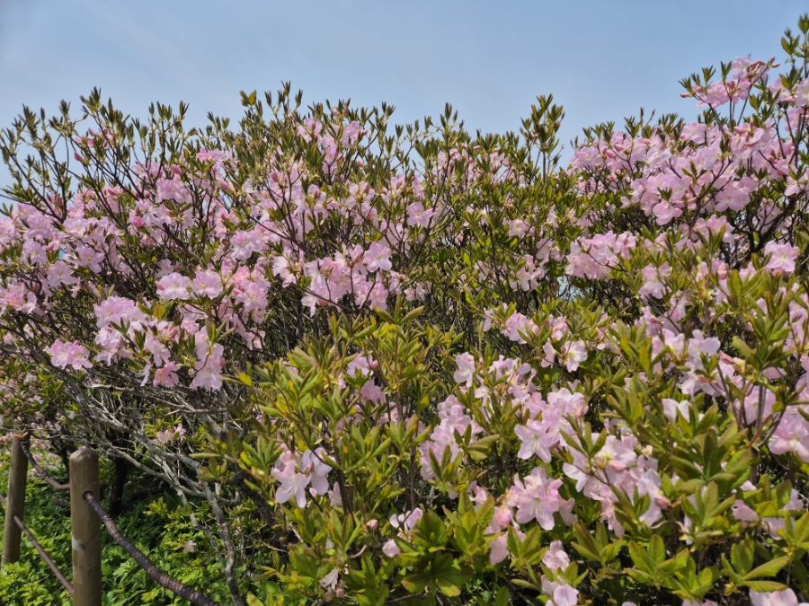 소백산국립공원 초암주차장 이미지