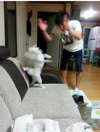 케이제주 이미지