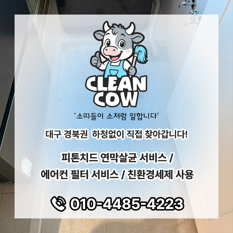 클린카우 이미지