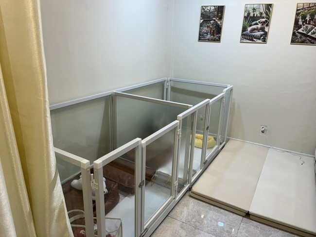 부평 애견미용 해피테일, 산곡동 호텔 후기 — 사진 6
