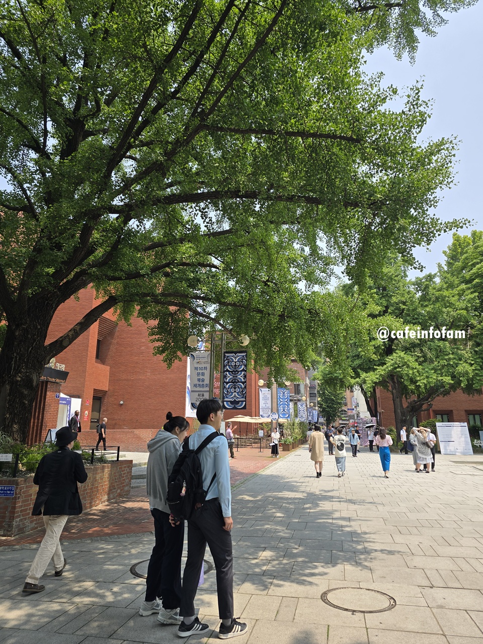 마로니에쉼터 이미지