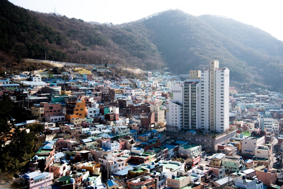산과강 이미지