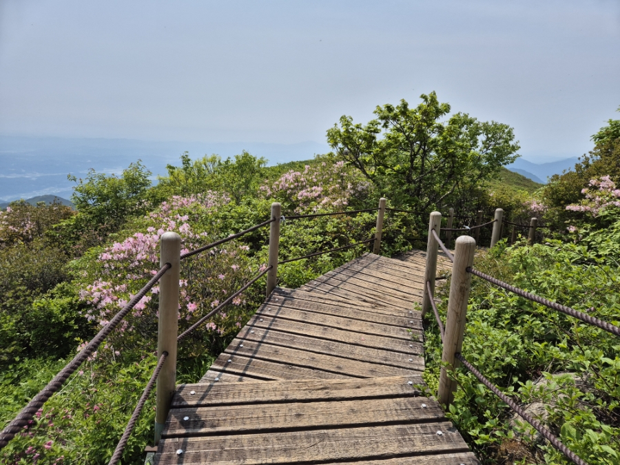 소백산국립공원 초암주차장 이미지