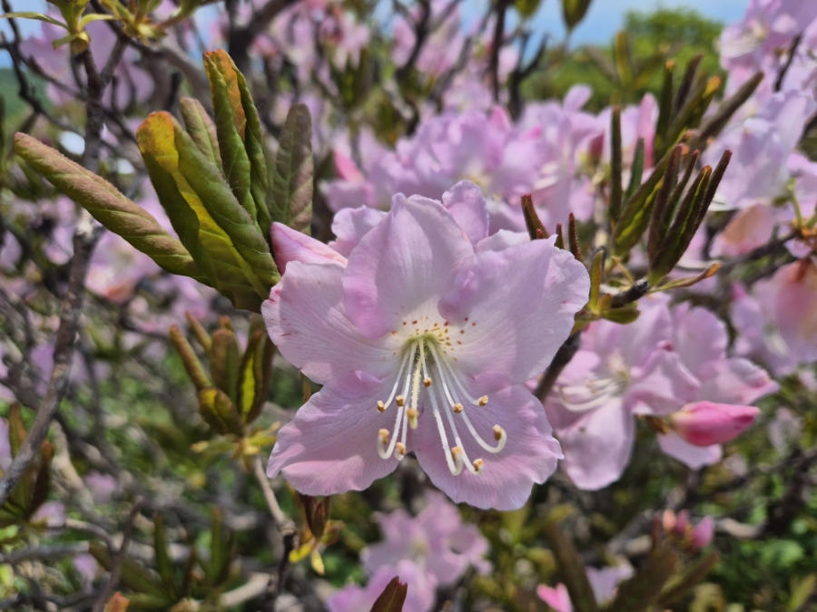 소백산국립공원 초암주차장 이미지