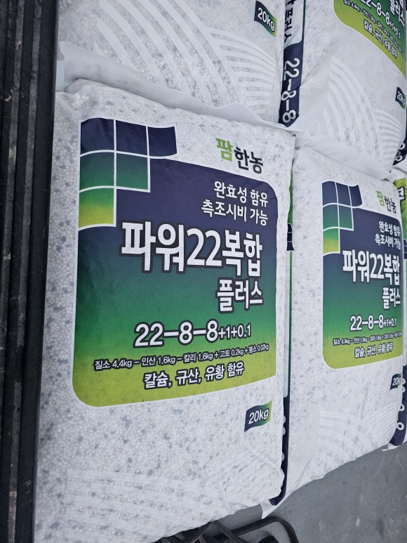 다평 이미지