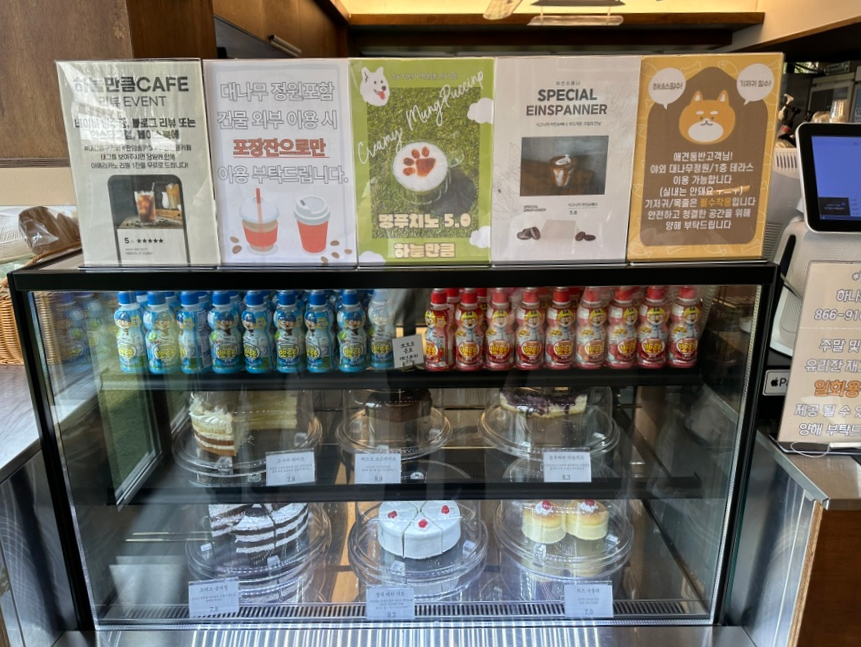 대전 애견동반 카페, 하늘만큼에서 강아지와 휴식 — 사진 9