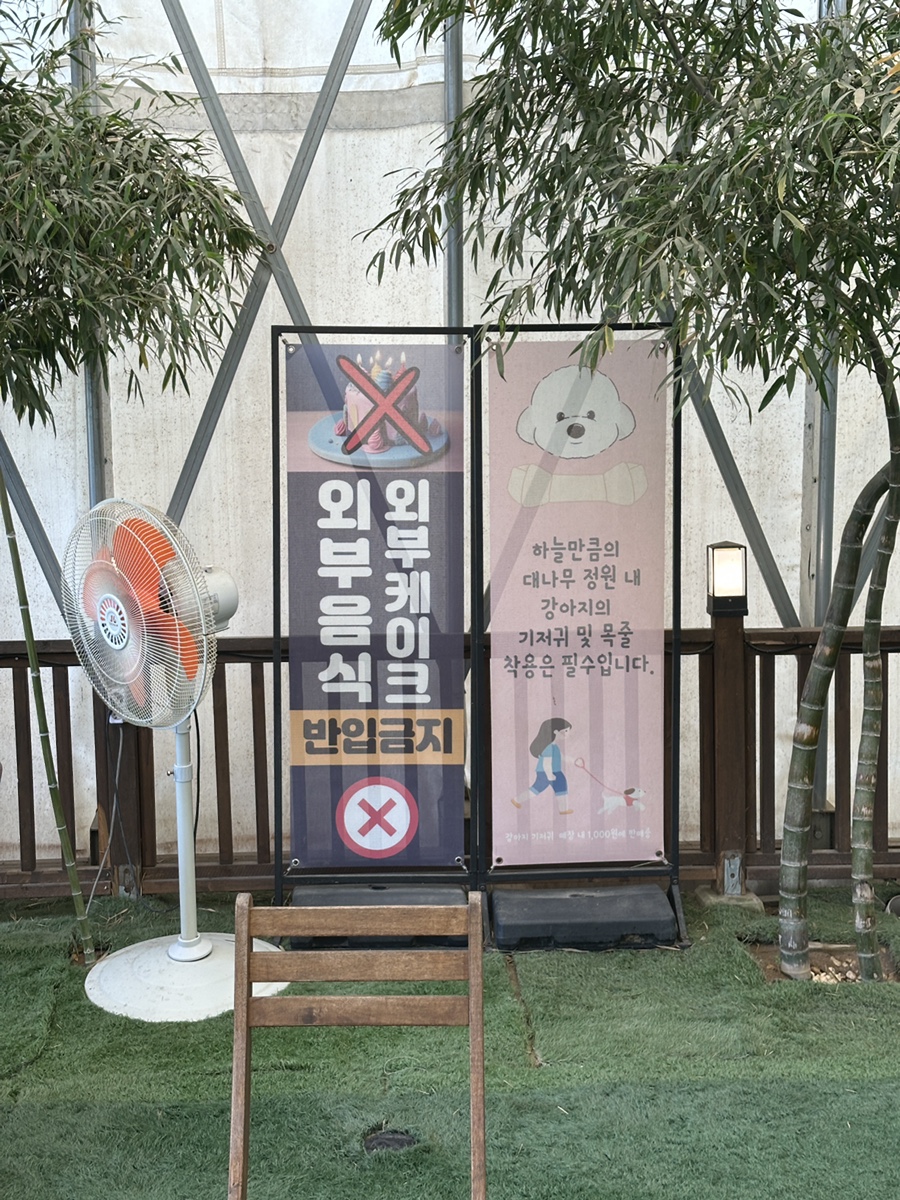 대전 애견동반 카페, 하늘만큼에서 강아지와 휴식 — 사진 7