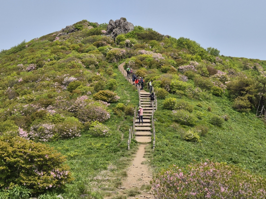 소백산국립공원 초암주차장 이미지