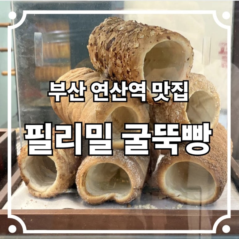 필리밀 이미지