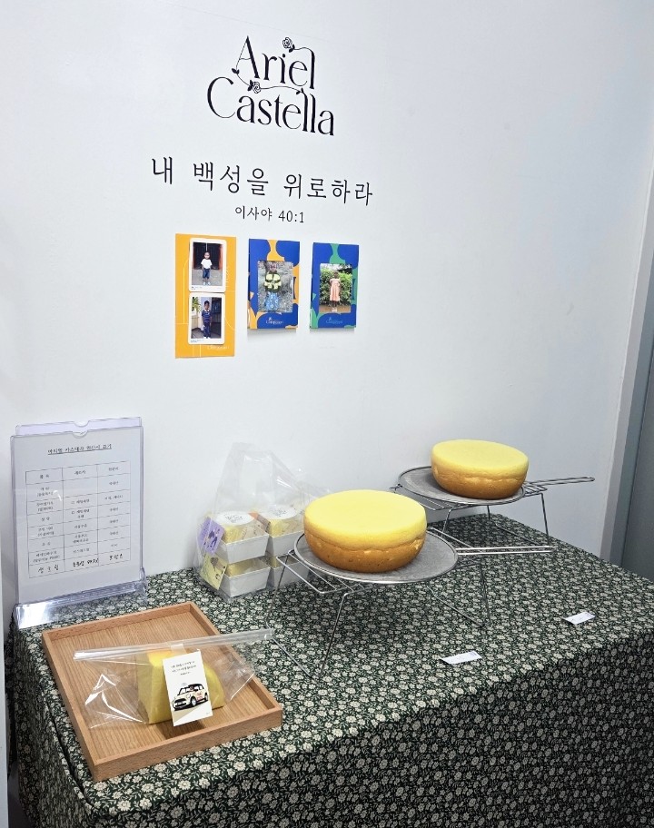 아리엘카스테라 대표 사진