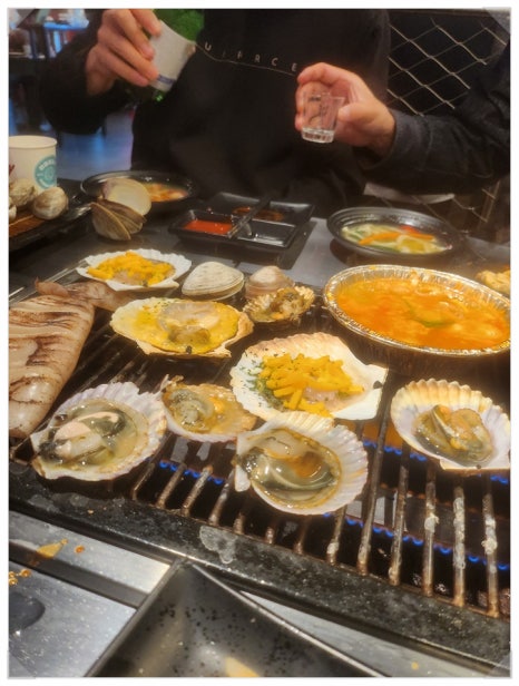 하와이조개 이미지