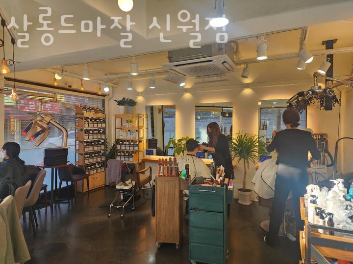 살롱드마잘 이미지
