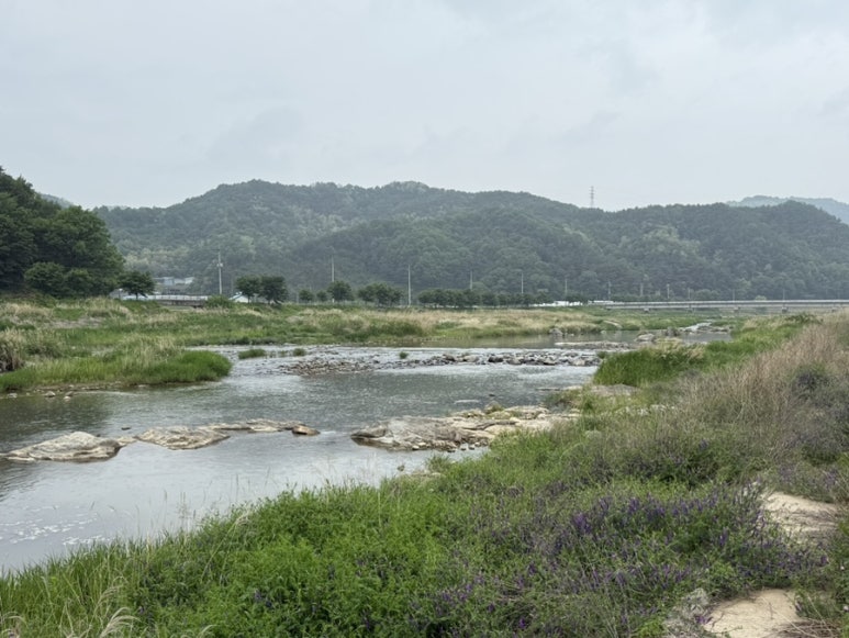 세진여행주 이미지