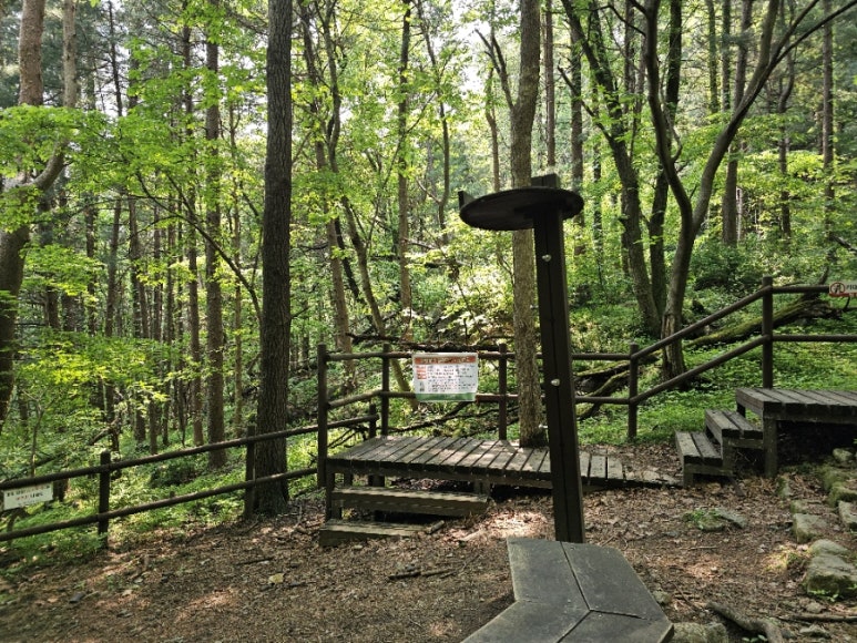 소백산국립공원 초암탐방지원센터 이미지